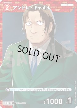 画像1: アンドレ・キャメル[ID:0326_CT-B03-072_C]
