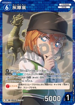 画像1: 灰原哀[ID:0514_CT-B05-008_R]