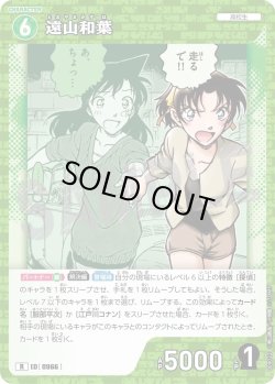 画像1: 遠山和葉[ID:0966_CT-B09-022_R]