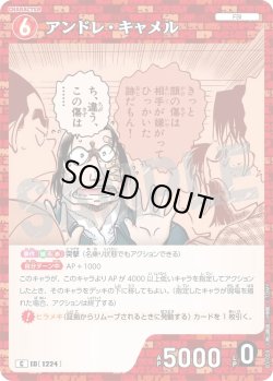 画像1: アンドレ・キャメル[ID:1224_CT-B11-059_C]