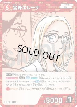 画像1: 宮野エレーナ[ID:1227_CT-B11-062_C]