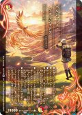 ボルシャック・ヴォルジャアク[DM_ART18_2/5SR]