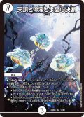 天頂と停滞と水晶の決断[DM_24BD6_14/60_SR]