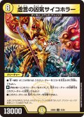 虚言の凶気サイコホラー[DM_24BD6_45/60_U]