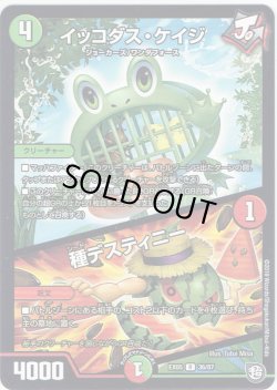 画像1: イッコダス・ケイジ/種デスティニー[DM_EX-05_36/87R]