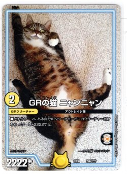 画像1: GRの猫 ニャンニャン[DM_EX-08_246/???]