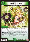 爆翠月 アカネ[DM_24EX3_36/80_R]