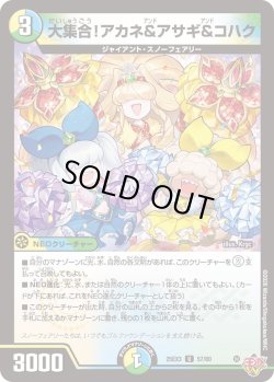 画像1: 大集合!アカネ&アサギ&コハク[DM_25EX3_57/80_U]
