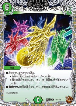 画像1: 【銅トレジャー】爆進イントゥ・ザ・ワイルド[DM_25EX3_TF8/TF40_R]