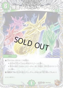 画像1: 【銅トレジャー】爆進イントゥ・ザ・ワイルド[DM_25EX3_TF8/TF40_R]