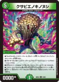 クサビエノキノヌシ[DM_26EX4_52/99_R]