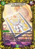 パーリ騎士の心絵[DM_RP-22_17A/20U]