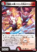 「双斬」の鬼 ウコン大丸&サコン大丸[DM_24RP4_26/76_R]