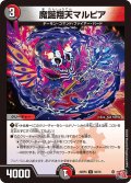 魔誕翔天マルピア[DM_24RP4_50/76_U]