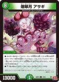 爆翠月 アサギ[DM_24RP4_72/76_C]