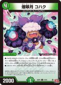 爆翠月 コハク[DM_24RP4_74/76_C]