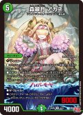 森翠月 アカネ[DM_24RP2_24/75_R]