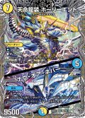 【銀トレジャー】天命龍装 ホーリーエンド／ナウ・オア・ネバー[DM_24RP2_TR9/TR11_SR]