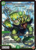 十四番龍 アクロスラピュタズ Par青天井[DM_25RP1_S5/S11_SR]
