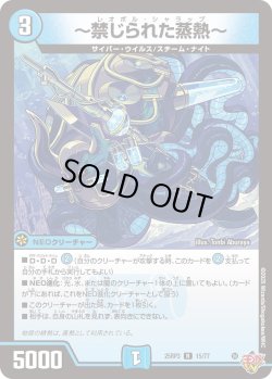 画像1: 〜禁じられた蒸熱〜[DM_25RP3_15/77_R]