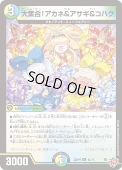 画像1: 大集合!アカネ&アサギ&コハク[DM_25RP4_50/78_U]