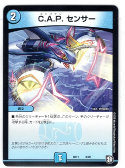 画像1: C.A.P. センサー[SD11_6/20]