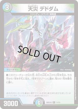 画像1: 天災 デドダム[DM_26SD1B_11/13_R]