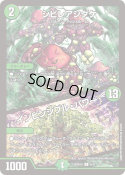 画像1: シビレアシダケ/インビンシブル・パワー[DM_26SD1K_9/10_U]