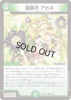 画像1: 爆翠月 アカネ[DM_26SD1Q_10/14_R]