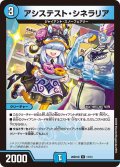 アシステスト・シネラリア[DM_26SD1Q_11/14_U]