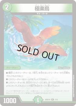 画像1: 極楽鳥[DM_26SD1V_7/12_R]