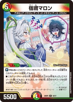 画像1: 宿禰マロン[DM_25SP2_14/17_R]
