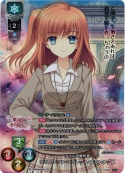 画像1: 【CP仕様】メリルの婚約者 ブリュエット・ニコレット・プランケット[LO_LO-3254-C]