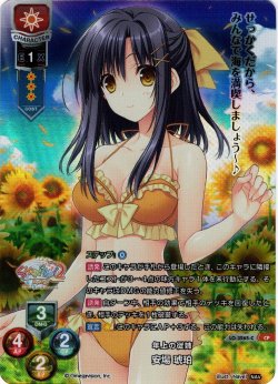 画像1: 【CP仕様】年上の従姉 安場 琥珀[LO_LO-3265-C]