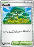 活力の森[PKM_M1S_061/063_U]※商品説明必読※