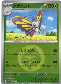 画像1: 【豪華ミラー仕様(草エネルギー】アゲハント[PKM_a_006/193]※商品説明必読※