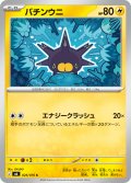 バチンウニ[PKM_M6_026/076_C]※商品説明必読※