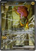 ライコウex[PKM_M6_108/076_SAR]※商品説明必読※