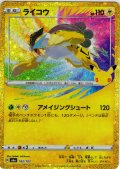 ライコウ[PKM_M6a_162/103]※商品説明必読※