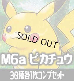 画像1: 【セット販売】ピカチュウ30種各1枚コンプセット[PKM_M6a]※商品説明必読※
