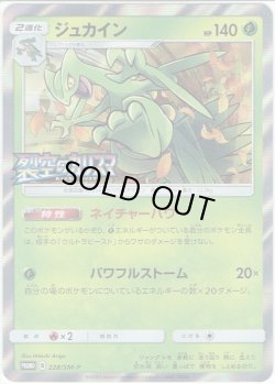 画像1: ジュカイン[PKM_228/SM-P]