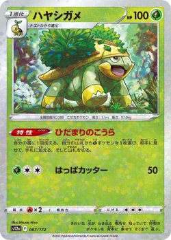 画像1: 【ミラー仕様】ハヤシガメ[PKM_s12a_7/172]