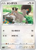 ホシガリス[PKM_s2_84/96C]