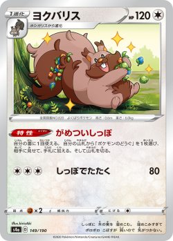 画像1: 【ミラー仕様】ヨクバリス[PKM_s4a_149/190]