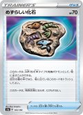 【ミラー仕様】めずらしい化石[PKM_s4a_165/190]