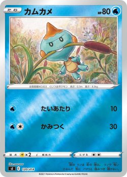 画像1: 【ミラー仕様】カムカメ[PKM_sI_120/414]