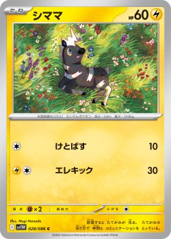画像1: シママ[PKM_sv11W_028/086_C]※商品説明必読※
