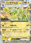 バンギラスex[PKM_sv3_32/108RR]※商品説明必読※