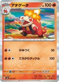 【R仕様】アチゲータ[PKM_svAL_3/21]