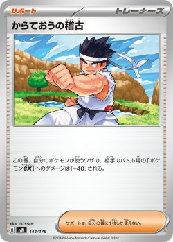 画像1: からておうの稽古[PKM_svM_144/175]※商品説明必読※